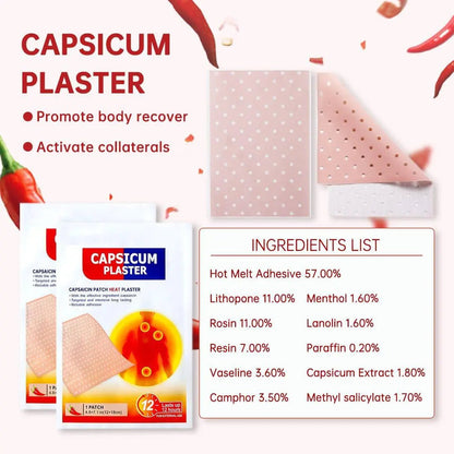 Capsicum Plaster 5 Pcs Pain Relief Patch loji